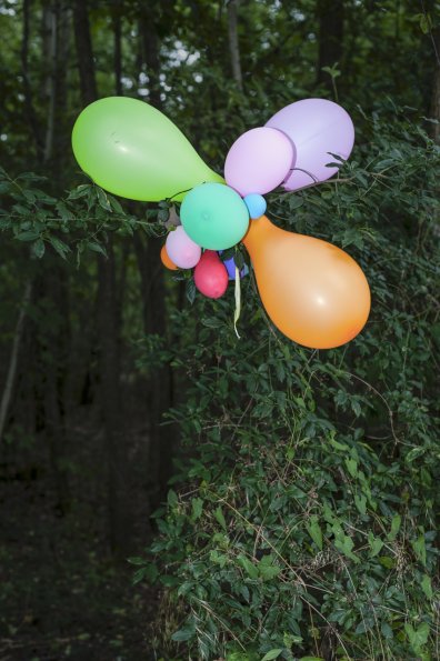Philippe-Fourcade-Photographe-TOTEMs-5